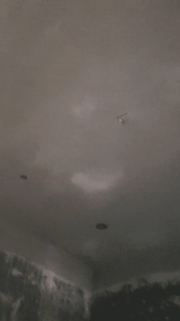 انه خلفه البخ و صطار جص حسب الطلب بسعار مناسبه 07717091824