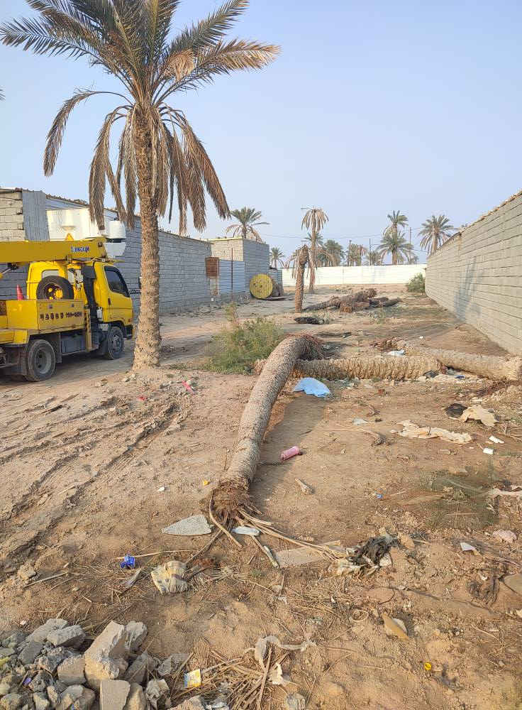 ارض للبيع مساحة 600متر طابو زراعي 
العنوان البصرة ابي الخصيب باب طويل
جميع الخدمات متوفرة
السعر 35مليون قابل التفاوض
للاستفسار ***********/*********** البصرة, العراق
