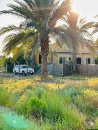 قرب جامعة بابل • ١٧٥٠م • سند ٢٥