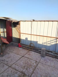 عازوله مال طيور قياس 6 ×4 السعر 300 الف عنوان بغداد مدينه الصدر خاص ما...