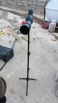 أوروبي جديد • كرتون • السليمانية