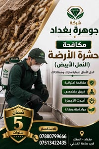 #عندك #ارضة بالبيت ؟ ( 🐜) وماكلة الحايط #والاخشاب وتريد تخلص منها الحل...