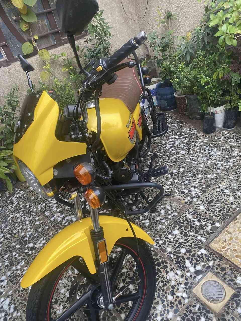 سلام عليكم دايون 2023
اوراق اصولي 
مكاني بعداد البلديات 
***********
السعر مليون و500
