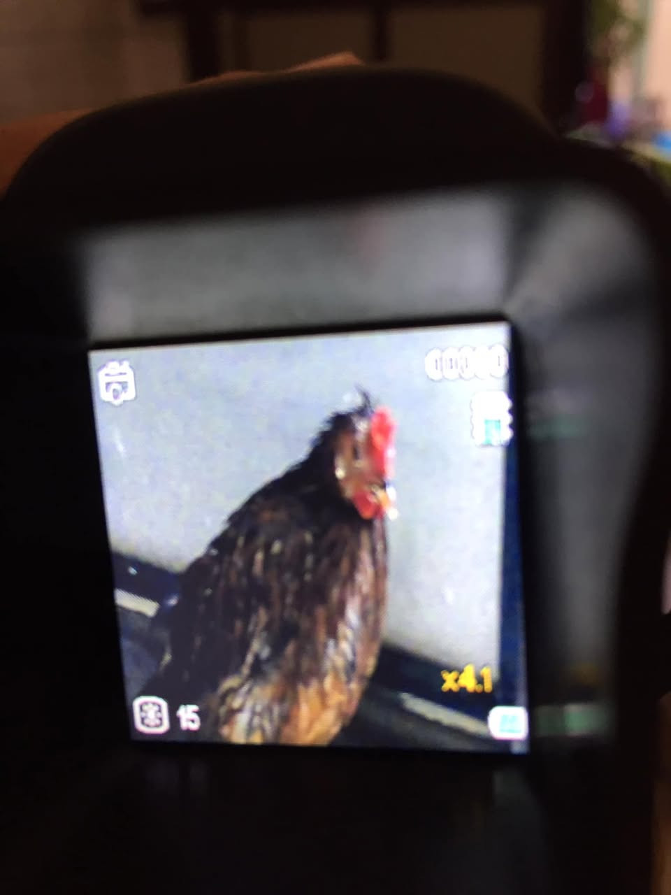 ناضور ليلي ٢٠


**إذا كنت صاحب هذا الإعلان وتريد حذفه لأي سبب، رجاءا أرسل رسالة إلى الدعم الفني**