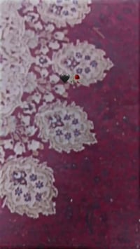 بيسكل • عبد الحليم • الموصل حي صدام