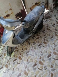 منغولي للبيع السعر ٢٧٥ الاتصال ٠٧٨١١٢٢١٢٩٤