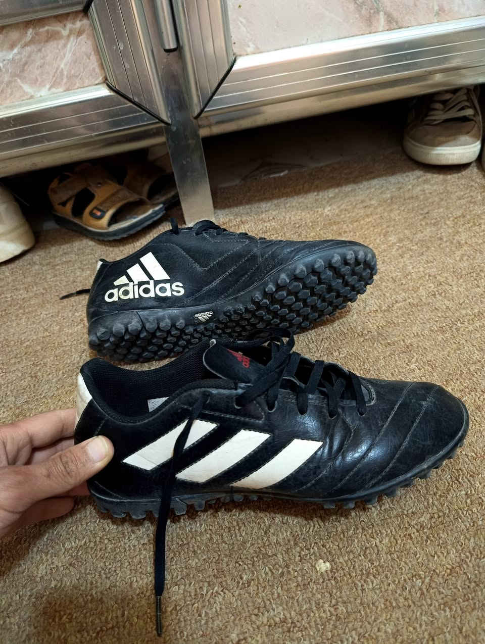 السلام عليكم 
زوجين حذاء للبيع قياس 42 
السعر ثنينهن ب40
مكاني ديوانية مركز


**إذا كنت صاحب هذا الإعلان وتريد حذفه لأي سبب، رجاءا أرسل رسالة إلى الدعم الفني**