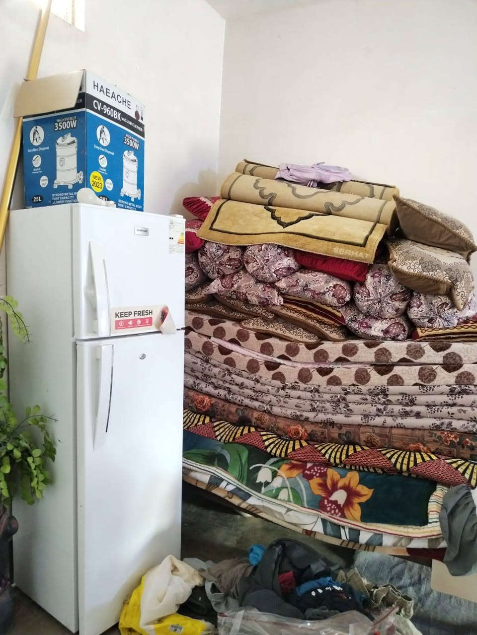 لبيع غراض جديدة بعد عندي مبردة وغساله مال نفرين مكان حي نصر


**إذا كنت صاحب هذا الإعلان وتريد حذفه لأي سبب، رجاءا أرسل رسالة إلى الدعم الفني**