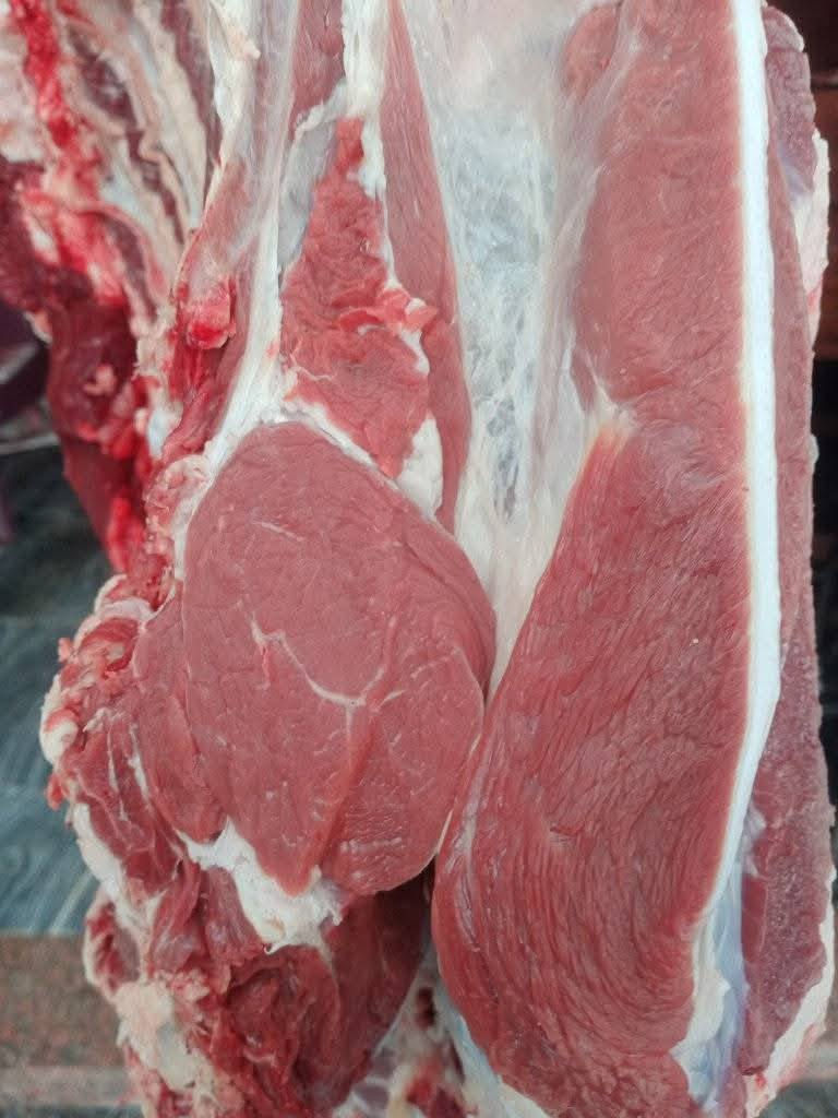 لحم عجل الكيلو 10
تعال شوف بعيونك وانته تحكم
سامراء شارع الحداحده مجاور سراج ابو الشربت قصابة الجزيره 
***********
