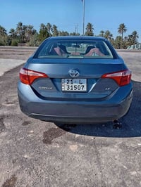 ٢٠١٨ • وارد امريكي • رقم سليمانية