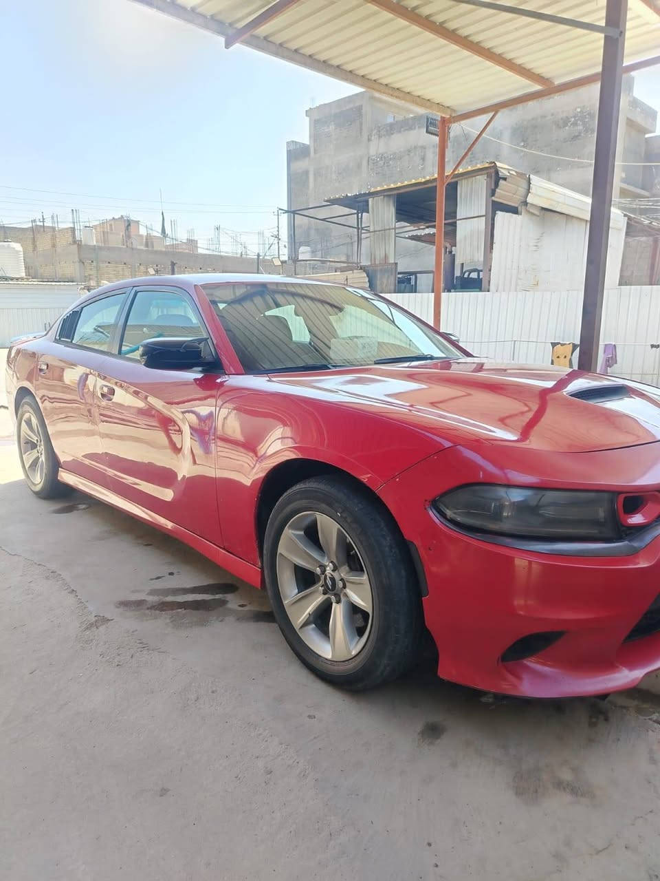سلام عليكم جارجر موديل 16مروس فورتي 20او21 كير مكينه كفاله تبريد كفاله سياره فور ويا ملغي مكان سياره بغداد بوب الشام رقم ***********
