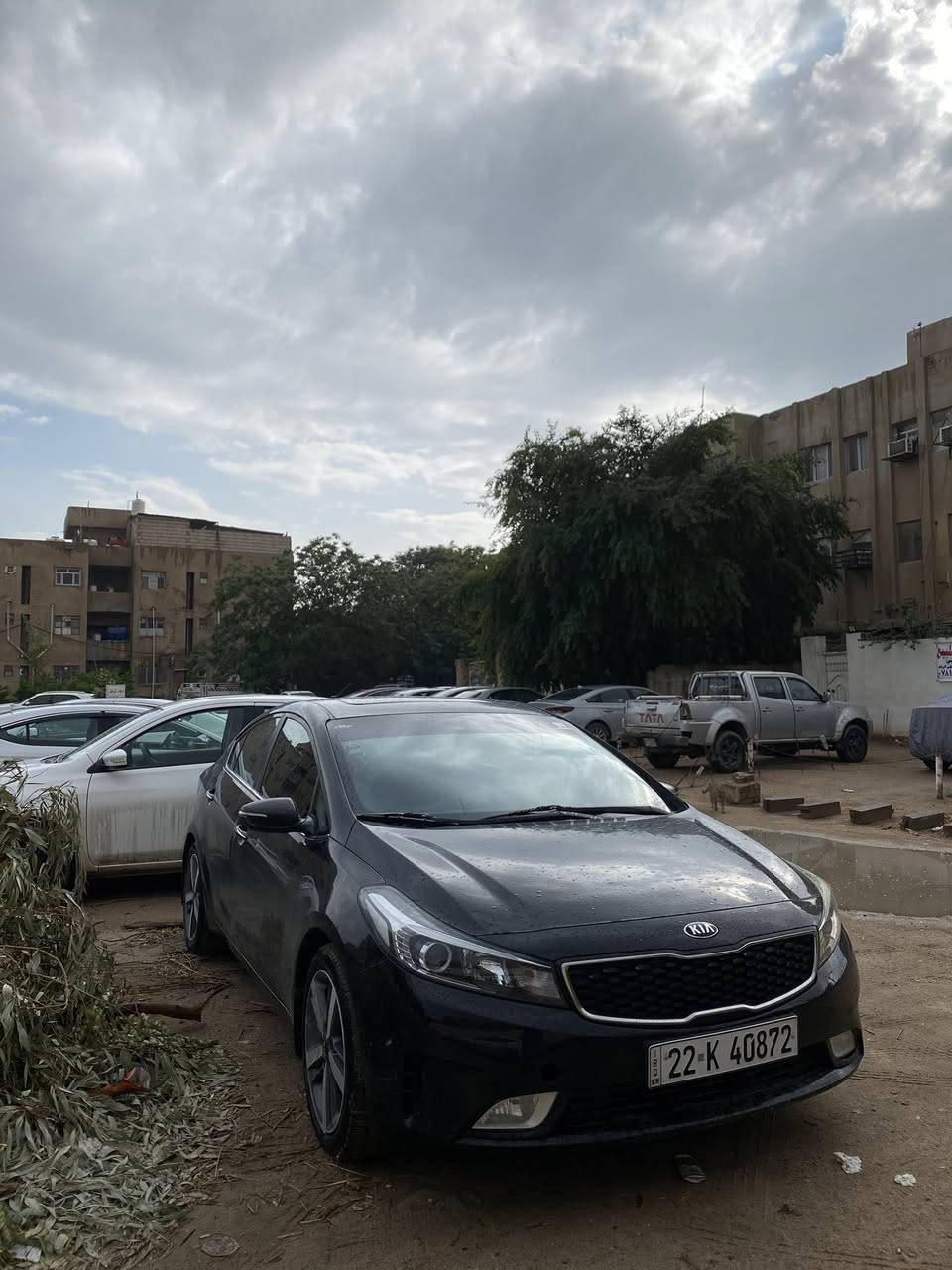 سيراتوا 2017 ايراني مو العادي يعني الفول مواصفات
تدفئة كشنات امامي خلفي  وتبريد كشنات امامي

نقطة عمياء ومري شفط هيتر ستيرن

بصمة فتحة كشنات جلد حساسات امامي خلفي مكينة 2.0 دوش  vip السيارة

السيارة بيها  صبغ جاملغ وباب خلفي  جهة السايق بدون حادث قوي لا ايرباك و لا دواخل وبيها سونار

والسيارة استخدام شخصي ما عايزة برغي

ب135 ورقة

مكان السيارة بالنجف

***********
