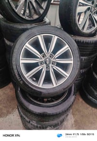 تخم ويل كب اصلي حجم 17 بيع او مراوس المكان بغداد 07775550209