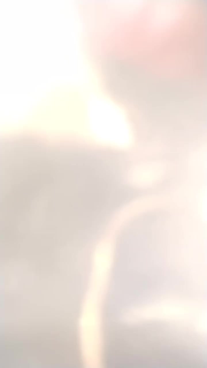 سلام عليكم
اريد مراوس بيراني 2025 او 2026 ابو غريب
 منطقت  الزيدان


**إذا كنت صاحب هذا الإعلان وتريد حذفه لأي سبب، رجاءا أرسل رسالة إلى الدعم الفني**