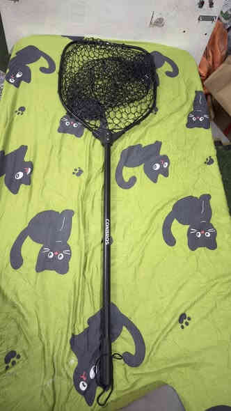 السلام عليكم حياكم الله خوان عندي ذني المعدات مال صيد شلعه كامله

1-شبجه طول ٣ امتار سلايت شبجه قماش مرتبه حديد

2- شبجه  طول ١٢٠ تقريبا شبجتهه نايلون ومتانه فول وزن خرافي قطعه كلش حلوه

3- وخيمه ٢*٢ طباگه لونهه رصاصي نفس الي بالصوره فرق اللون فقط 

4-وسناره طول ١٨٠ سم مع مكينه وخيط وخداعات ودنابيس كامله مكمله تركيب مو سلايت 

السعر 70 الف دينار عراقي 

❗️ الرقم ***********
