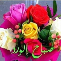 سبلت توسوت طن ونص عادي مو انفيرتر استخدام شهر ونص فقط لان شلت من بيتي ...
