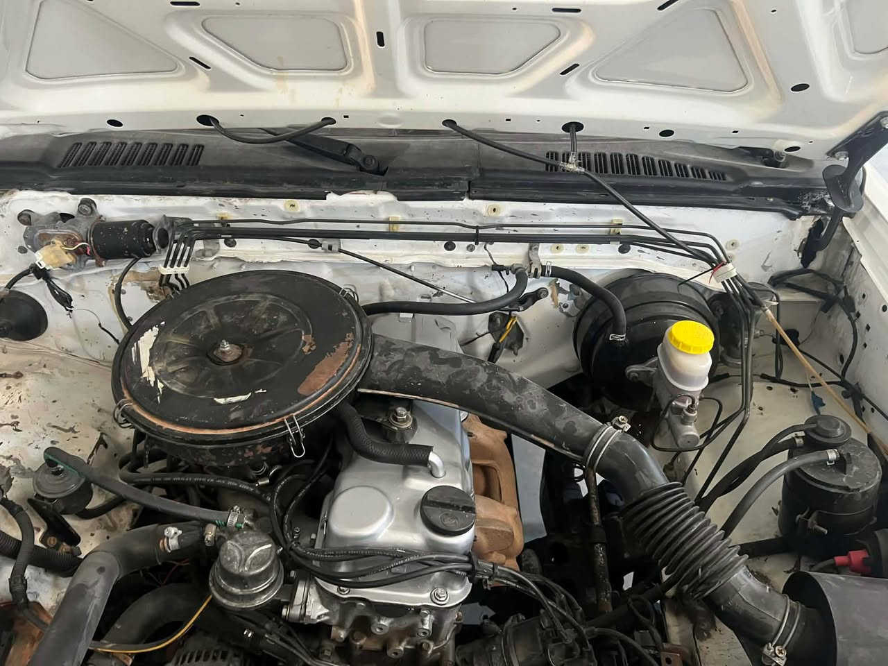 *********** السليمانية, العراق
