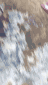 سلام عليكم لبيع بايسكل حجم 26 
موديل 2018 
السعر خاص 
رقمي *********** بي واتساب
