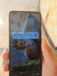 نقاط بيع • ماوس • تكريت