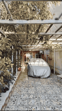 دار للبيع !!!!
في البنوك مساحه 270
واجهه 9
ونزال30 يتكون من صالتين
ومطبخ حمامات وغرفه في
طابق الاول و 3غرف في طابق الثاني وحديقه وكراج يسع سيارتين 
الاستفسار
***********
