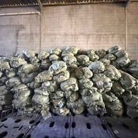 متابعينا وزبائننا الكرام بفضل لله غدا ان شاء الله الثلاثاء وصول حاوية ...