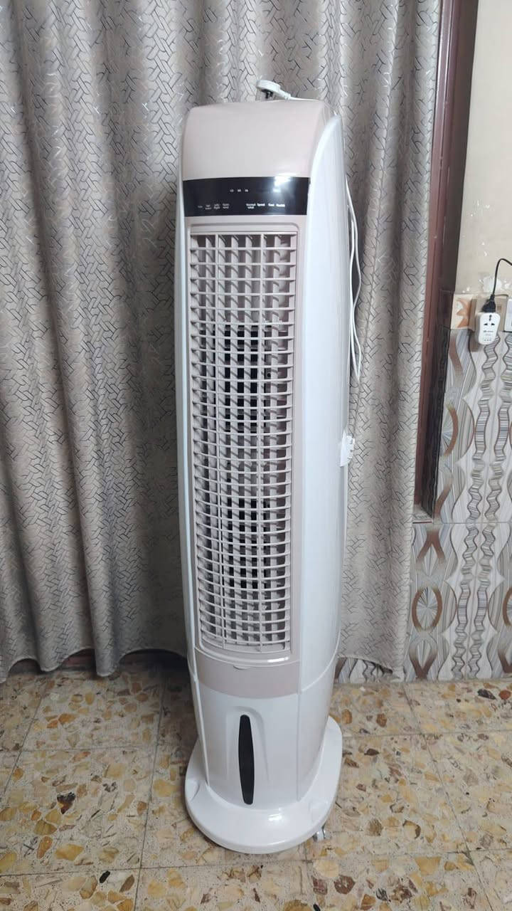 مبرده البارحه جبناها بالكارتونه قفل325
***********
