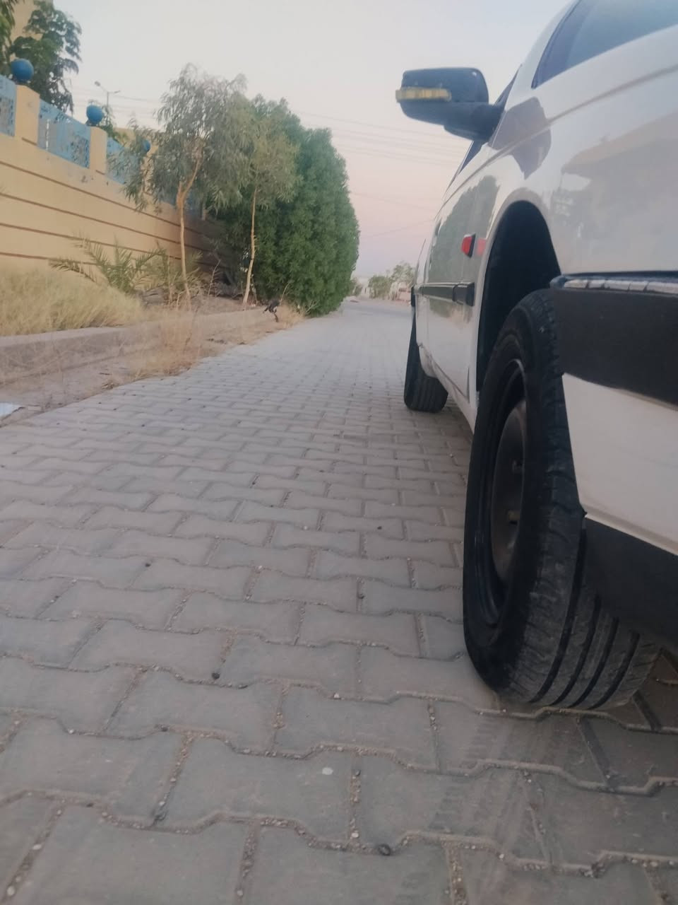 السلام عليكم بيجو موديل ١٢ رقم بابل إنكليزي مشروع وطني كفاله عامه مكينه كير تبريد حداديه كفاله تفحص سونار كفاله عامه بيها بارد موضوح بل صوره يم القفل مال الباب حسب اربع أصابع مالك نجف بسم صاحبي العنوان نجف السعر ٤٠ بيها مجال قليل الشراي يتصل على الرقم ***********
