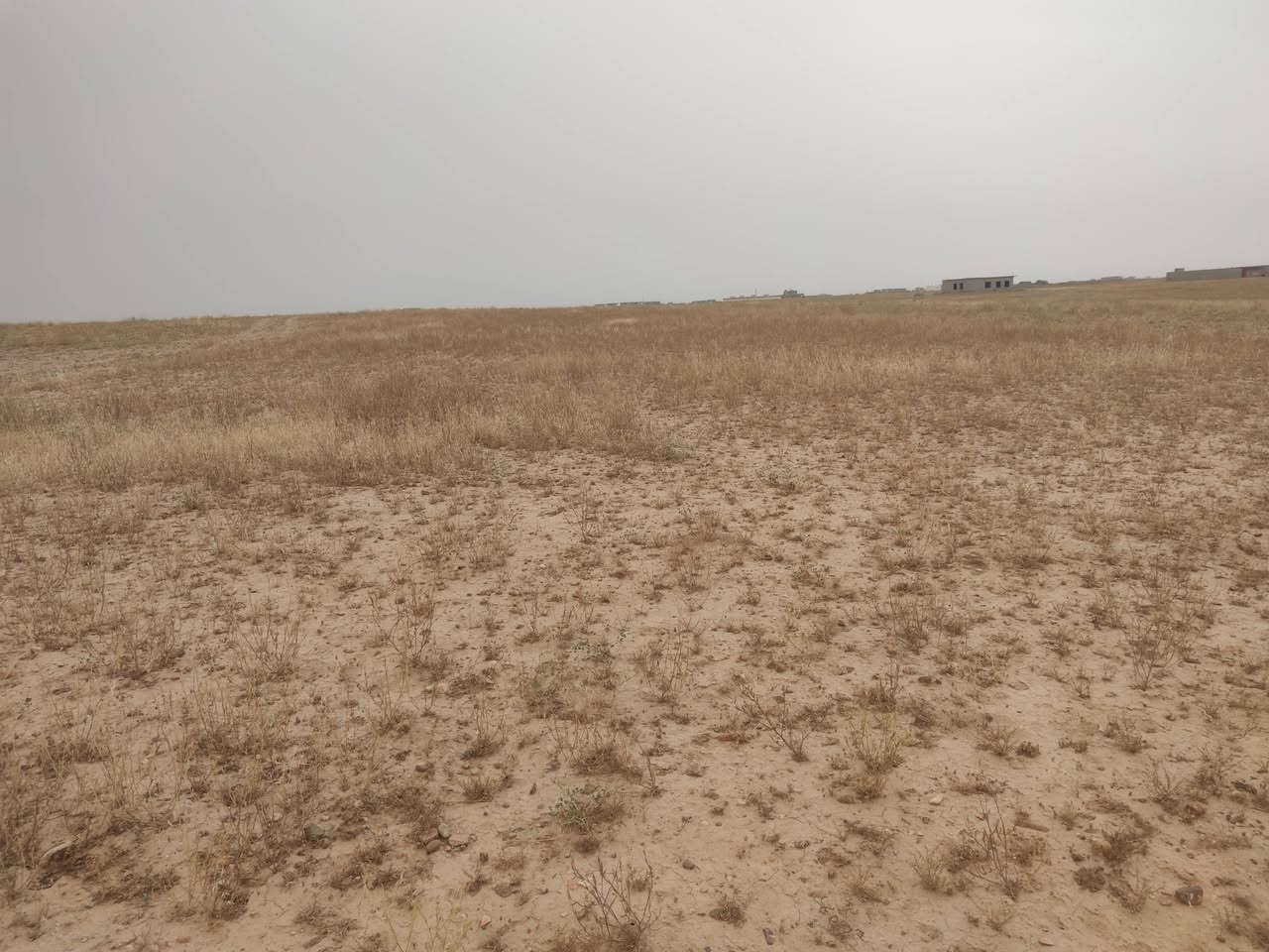 توجد قطعه ارض للبيع سعر المتر 5000  الاف وبيها مجال الموقع طار الطياره بالقرب من مزرعه عبدالله السبيل  والمساحه دونم وللاستفسار الاتصال على الرقم ***********
