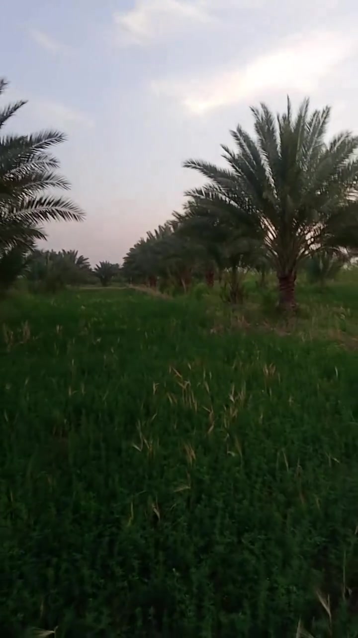 ✅️7دوانم
الواجهة 50 متر 

وجه على شارع سبيس عرض 10 متر 

✅️متوفرة كافة الخدمات

تبليط، ماء، كهرباء، مدارس 

طابو  زراعي سند 25 

✅️الموقع شارعنجف كربلاء  عمود 1141 - منطقة

الجذار

📞 إتصل //***********
