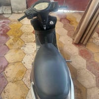 سكنس ثعلب • بطاريه • كربلاء