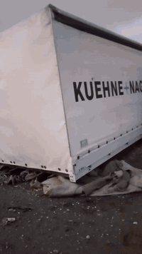 السلام عليكم جادر متحرك كامل هوه اولبوري ملته  لبيع اصلي مال سبعه اوربع *********** سعر 4وراقات اوبي مجال
