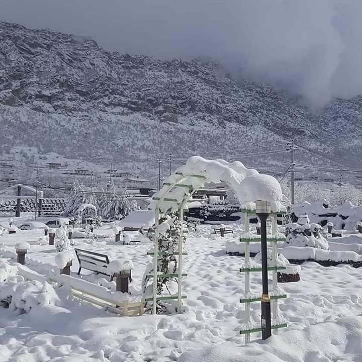 ✔️❤️اقوى العروض مع شركة المسك للسفر والسياحة❤️✔️

             كروبات الشتاء والثلوج❄️☃️
           مع المسك  _نمبر_وان_دائماً💥

             ✅ خلـيـك بالـمكان الصح✅

ــــــــــــــــــــــــــــــــــــــــــــــــــ
(الــعــرض الاول)

            ((( رحلة اربيل 2 ايام )))

🌦 اربيل _شقلاوة 2 ايام بسعر (25)|الف🔝
#_فندق_بسمة_السفير فندق 🏨 4 نجوم حقيقية 
                 ((( كل جمعة)))
_________________________
(  العرض الثاني )

🌥دهوك _ جبل كارة يوم واحد _(10) الف🔝

       ((( كل #ثلاثاء  و #جمعه )))
_________________________
(الــعــرض الثالث)

⛅️اربيل _ حاج عمران يوم واحد بسعر (10) الف 🔝

(((كل ثلاثاء_وجمعة)))

________________________________
( العرض الخامس )

لبرامج تشمل  
✅التنقل الداخلي 
✅الفندق 
✅جولات سياحيه يوميه🏞
✅وجبه افطار اوبن بوفي🥗
✅باصات حديثه ومكيفه🚎
✅كادر سياحي متمرس لشرح الاماكن السياحية🏔
✅مصور خاص بالشركه📷
✅مع حفله خاص بالشركه👨‍👩‍👧‍👧
----------------------------------
♥️✅يوجد حجز عبر الوتساب لجميع المحافظات
للحجز والاستفسار واتساب او اتصال 

بالاضافة الى 👋🏻👩🏻‍🦰☔️:-

نقل يومي من والى تركيا🇹🇷 باحدث السيارات وانسب الاسعار ✨
من والى ((غازي عنتاب)) بسعر ((40دولار)) للشخص 🧍🏽

سيارات 🚗 حديثة 
يتوفر
خدمةشحن الجوال 📲
+خدمة الWI FI 

وايضاً خدمة  نقل البريد السريع 👋🏻

‼️كما يتوفر لدينا خدمة النقل والبريد السريع من والى(( موصل _بغداد  ))
باحدث السيارات🚗
وانسب الاسعار✨

وايضا من والى ((موصل_كركوك)) 
باحدث السيارات🚗
وانسب الاسعار✨

‏‎✍🏻للحجز والاستفسار : ☎️👇🏻

الفرع الأول :-
موصل- حي الميثاق -نهاية السوق - مكتب الفيصل-مجاور مولدة العنزي .
☎️***********
☎️***********

شكراً على ثقتكم بنا وسوف نكون عند حسن الظن✌🏻😍
