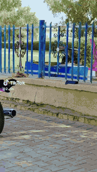 سلام عليكم
دراجه نامه شلامجه 
تعمير موديل 2021 
اوراق 5
مكينه ما مفتوحه 
المكان ميسان قضاء علي الغربي 
للتوصل ***********
