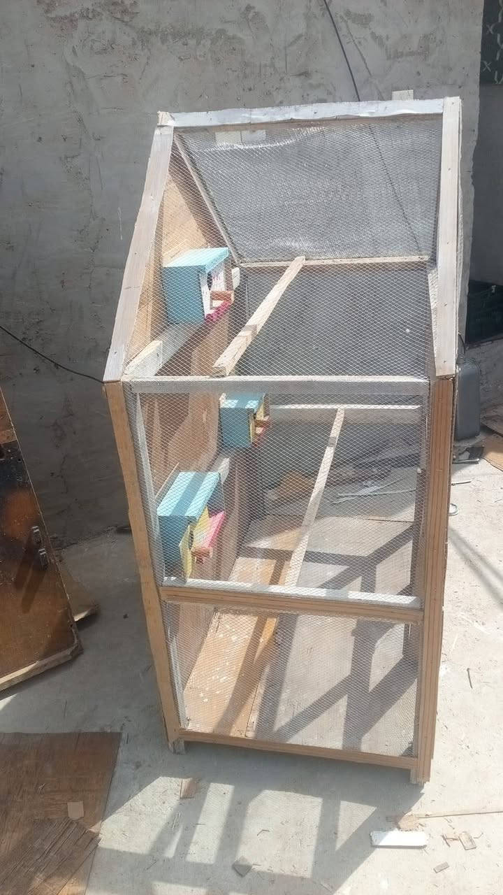 قفص جديد ب35 وبي مجال 
العرض متر 
والطول متر ونص 
بغداد الحسينيه


**إذا كنت صاحب هذا الإعلان وتريد حذفه لأي سبب، رجاءا أرسل رسالة إلى الدعم الفني**