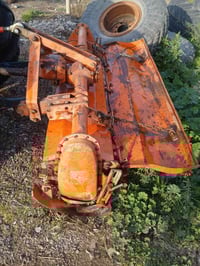 رافوسة كابوتا • اصلي • ديالى خان بني سعد