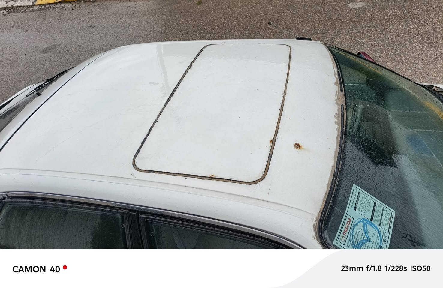 ️ السَّلَاْمُ‌ ‌عَلَیْکُم‌  ئەم مازدامان هەیی بۆ فرۆشتن  کەمیک مەسەرفی تیای بس  ‌الْحَمْدُ لِلّٰه  ناو زۆر پاک ئەو مەسەرفانەیش تیاتی لا وەین کان دیار جوان دی قەتی بی  گۆڕینۆیش ئەکین لەگەڵ شاهینو ملیکی براوە***********
