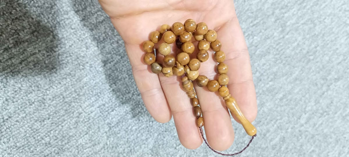 مسباح نارجيل كوك اصلي 33 خرزه جراخه يدويه ماخذه لون كفيه كصه نوادر ماخذه لون السعر 10 الاف مع التوصيل البصرة, العراق


**إذا كنت صاحب هذا الإعلان وتريد حذفه لأي سبب، رجاءا أرسل رسالة إلى الدعم الفني**