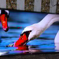 LG 55بوصة • فول إتش دي • حي النصر