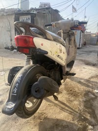 دراجة فلة • أوراق ناقصة • بصره معقل