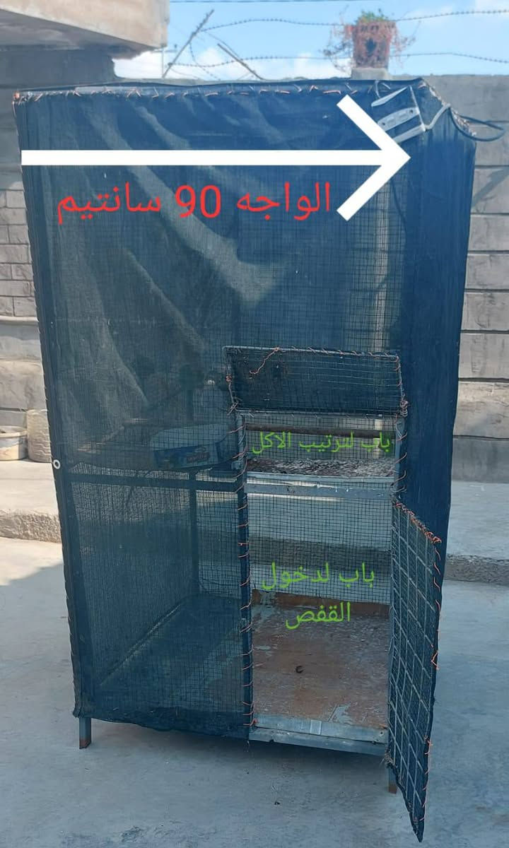 اقفاص للبيع السعر حسب الاتفاق تواصل
***********

***********
