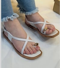 نص السعر • توصيل مجاني • جميع المحافظات