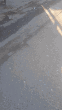 دار للبيع الزعفرانيه اربع شوارع جنس الارض طابو زراعي حجي جعفر ٥×٣٠ مع التشجير فرع دائره المجاري قرب اسواق القبس على شارع العام السعر مناسب الاستفسار رقم ***********
