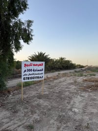طابو سند 25