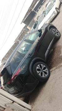 روك • ٢٠٢٣ • رقم اربيل