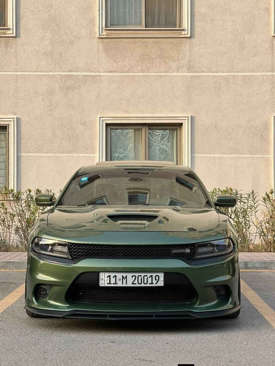 السلام عليكم ...🌹💥
للبيع دوج چارجر سگات باگ 🐝 موديل 2018 بدي اصل SRT سوبر تراك باك بلادي الون زيتوني السياره فول مواصفات 1/1 للاخير عدا الرادار فقط وارد امريكي حادثها خشم البنيد  وصور الحادث موجوده والباب خلف سائق صبغ .
السياره بدون اي نقص ايدي بيها ماشيه 87mi شرط كير ومكينه وصدر جديد مبدل تراي بدون اي رجه السياره رقم بغداد (السنوية باسمي) وعليها رقم يخبل كلش حلو وسياره ايدي بيها بدون اي نقص 
====================================
المواصفات ...
بصمة 
فتحة
داخل كنتاره مختوم سكات 
كشنات خزن ميموري 
كشنات حضن
تدفئة وتبريد بالكنشات الامامية
تدفئة بالكشنات الخلفية
تدفئة استيرن 
سستم سماعات بيست 
دمام خلفي بيست 
كلاصات تبريد وتدفئة 
فچوج برمبو ٤ بستم
نظام LAUNCH
نظام DRICVE MODES
شاشة كبيرة 8,5 أنج جميع الأوبشنات مفتوحة 
كير 8 نمر
شفتات استيرن
حساس خلفي ابلادي 
كشافات زينون 
منظومة زينون شادلها 
كامره خلفيه دواره HD
دبلات صفر SRT
ويل گب دايتونا 
ولف حماوه ريسنگ انسة الحماوه صيف وشتى 
فصله بلاديه ممفتوحه
دبات سود SRT
احزمه لون اخضر 
شوته رياضيه 
دگمه سبورت
رقم الشاطي هذا ( 2c3cdxgj4jh318942 ) 
مسويله تفريغ ونعمه صوت يخبل طرب وشادلها كاتم صوت بوابات 
وبعد بيها هواي مواصفات شباب المحرك 6400 اصل بالسنوية 
 السياره شوفتها مال موديل 2023
 بدي اصل SRT السياره عارضها بسعر حلو مال بيع مكاني بغداد (بغداد الجديده)
السعر 215 وبيها مجال بسيط  للاستفسار اكثر 
***********
اسف ع الاطاله 🌹
