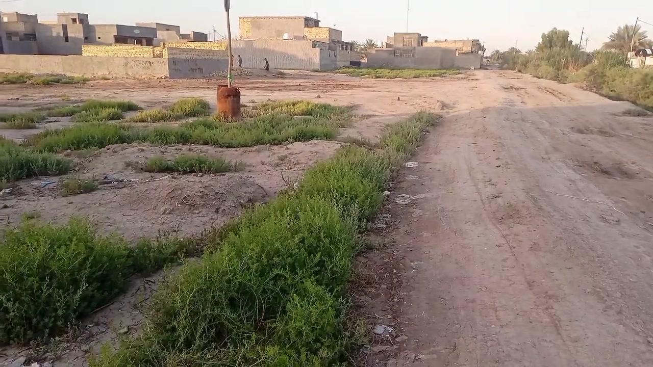 قطعه ارض للبيع طابو زراعي سند 25 مساحة 200 متر موقع تقاطع العلوية شريفه خلف معمل الدبس للاستفسار *********** سعر 26
