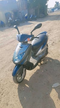 دراجة • سكنس • فحل