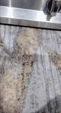 للبيع
***********
شوايه دجاج  كرل بركر وشوايه كص وفتاجه عجين وكابسه صاج
