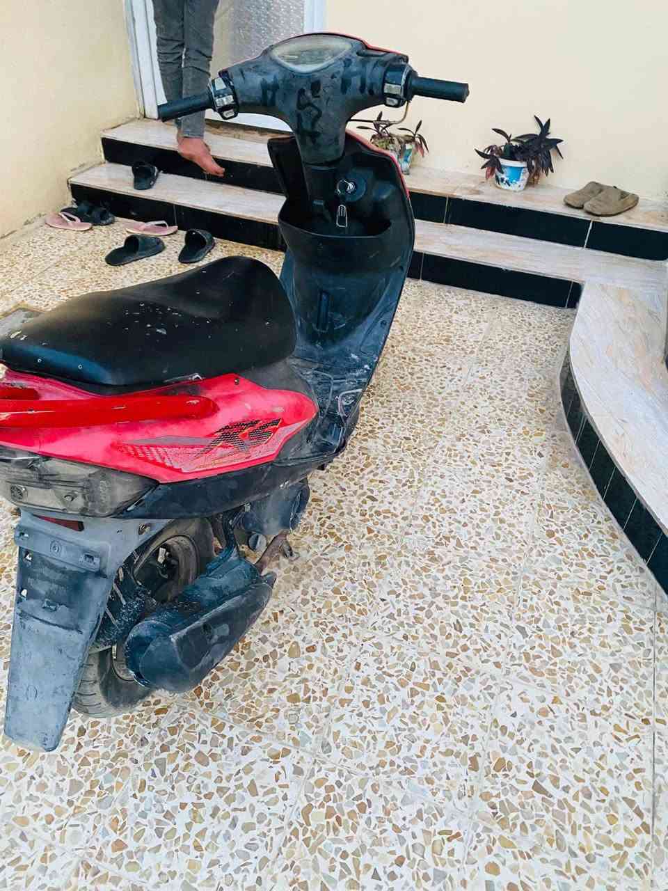 سلام عليكم
دراجه ماكس بلاديه

ختم واحد دراجه ما صار هواي من نازله

مولحه كله  مكينه سبانه ما مدوده عليه 

حلوه مكينه ناعمه مكان دراجه بعقوبه مفرك
  التفاصيل خاص او رقمي بس وتساب

***********
