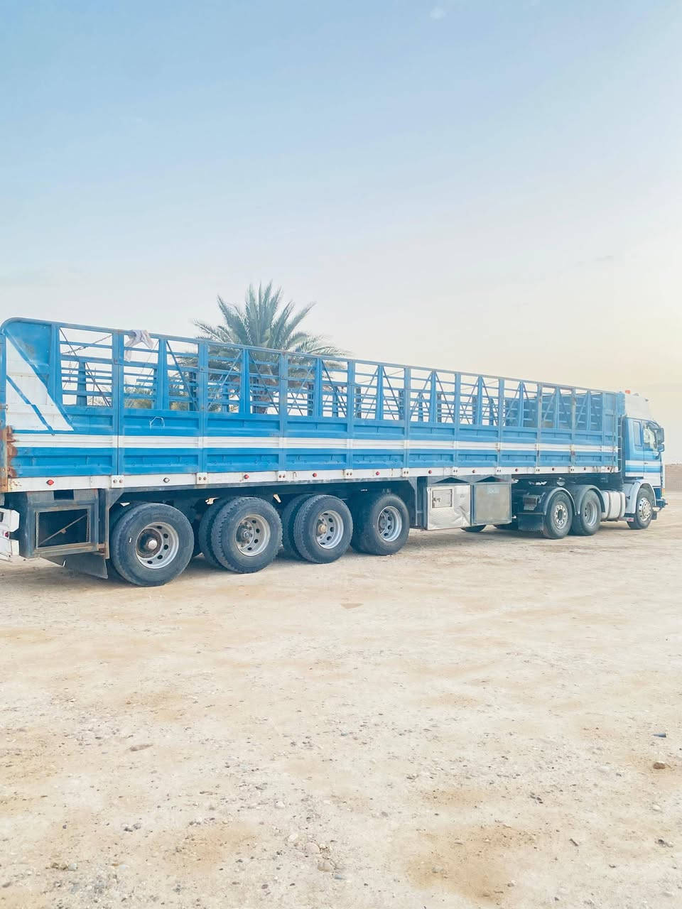 للبيع سكانيا 113رقم الانبار جديد محرك كير اكسل بالشرط
عربانه 4محاور مرسمه تخم تاير طول العربانه 13/60
رجان الموشراي لا يتصل ويتعبنه  السعر 290وبيها مجال 
مكان تكريت   الهاتف *********** واتساب
